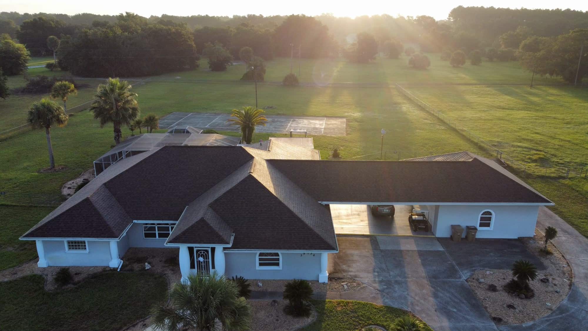 Black Shingles